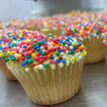 Sprinkle Cupcake